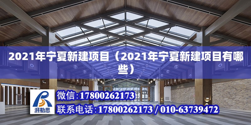 2021年宁夏新建项目（2021年宁夏新建项目有哪些）