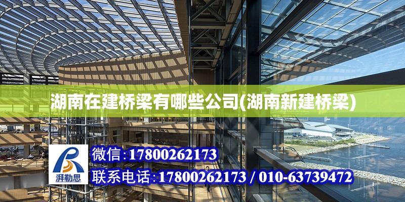 湖南在建桥梁有哪些公司(湖南新建桥梁)