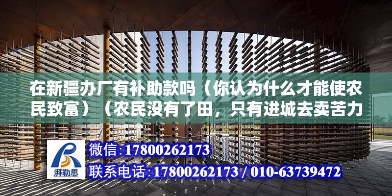 在新疆办厂有补助款吗（你认为什么才能使农民致富）（农民没有了田，只有进城去卖苦力） 结构框架设计