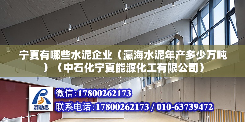 宁夏有哪些水泥企业（瀛海水泥年产多少万吨）（中石化宁夏能源化工有限公司） 钢结构蹦极设计