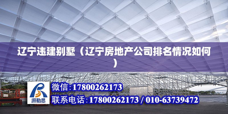 辽宁违建别墅（辽宁房地产公司排名情况如何）