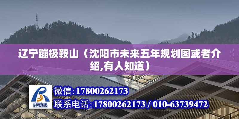 辽宁蹦极鞍山（沈阳市未来五年规划图或者介绍,有人知道）