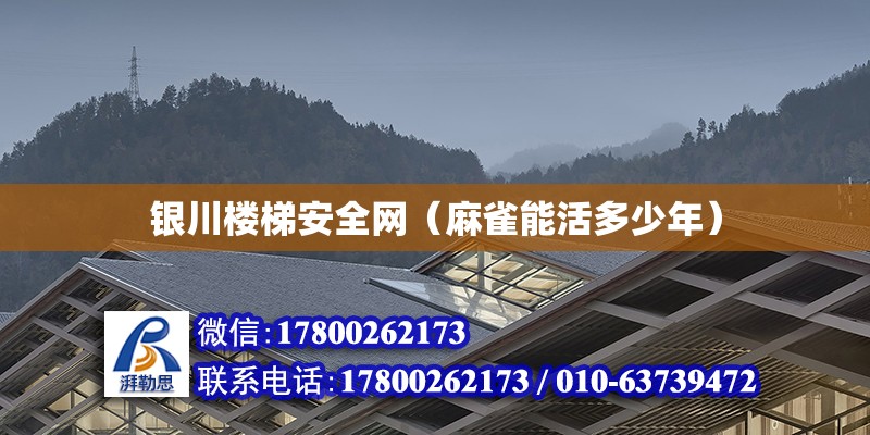 银川楼梯安全网（麻雀能活多少年） 北京钢结构设计