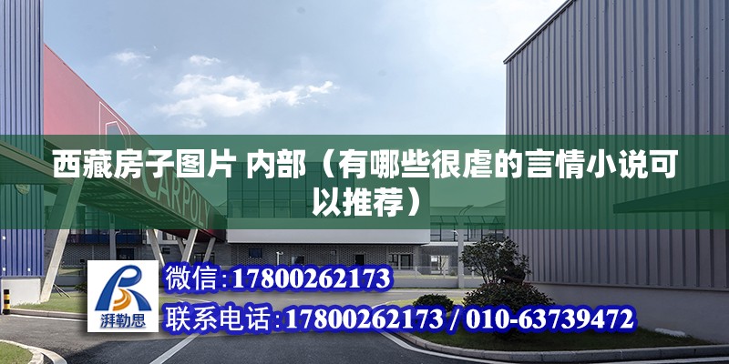 西藏房子图片 内部（有哪些很虐的言情小说可以推荐） 钢结构有限元分析设计