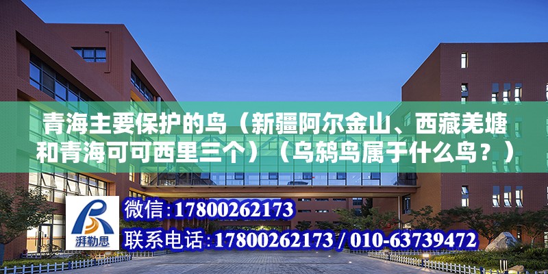 青海主要保护的鸟（新疆阿尔金山、西藏羌塘和青海可可西里三个）（乌鸫鸟属于什么鸟？） 结构桥梁钢结构施工