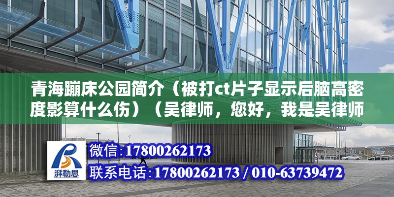 青海蹦床公园简介（被打ct片子显示后脑高密度影算什么伤）（吴律师，您好，我是吴律师，那说明情况,也可以进行伤残鉴定） 北京钢结构设计 第2张