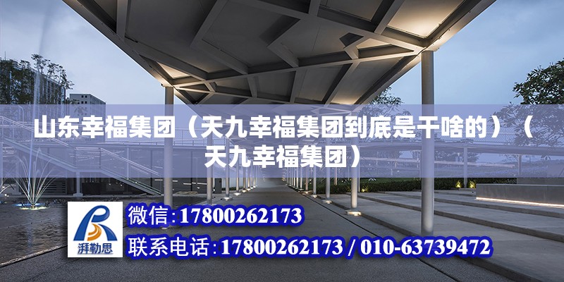 山东幸福集团（天九幸福集团到底是干啥的）（天九幸福集团） 建筑施工图施工