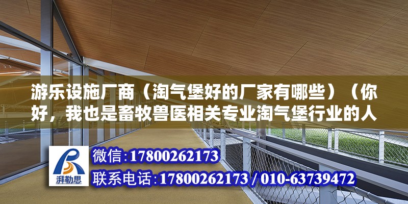 游乐设施厂商（淘气堡好的厂家有哪些）（你好，我也是畜牧兽医相关专业淘气堡行业的人）