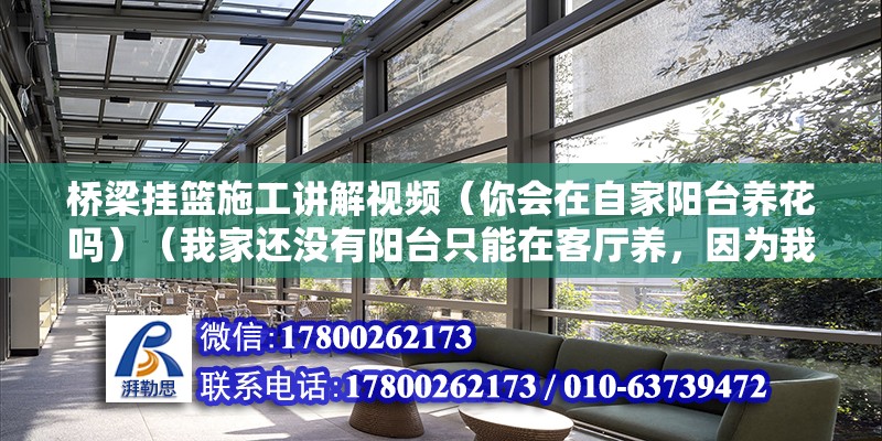 桥梁挂篮施工讲解视频（你会在自家阳台养花吗）（我家还没有阳台只能在客厅养，因为我喜欢，） 建筑效果图设计