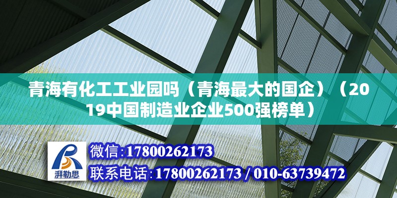 青海有化工工业园吗（青海最大的国企）（2019中国制造业企业500强榜单） 钢结构蹦极设计