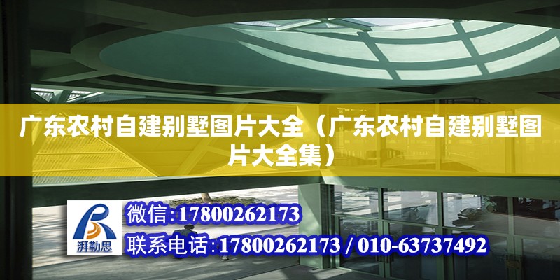 广东农村自建别墅图片大全（广东农村自建别墅图片大全集） 钢结构网架设计