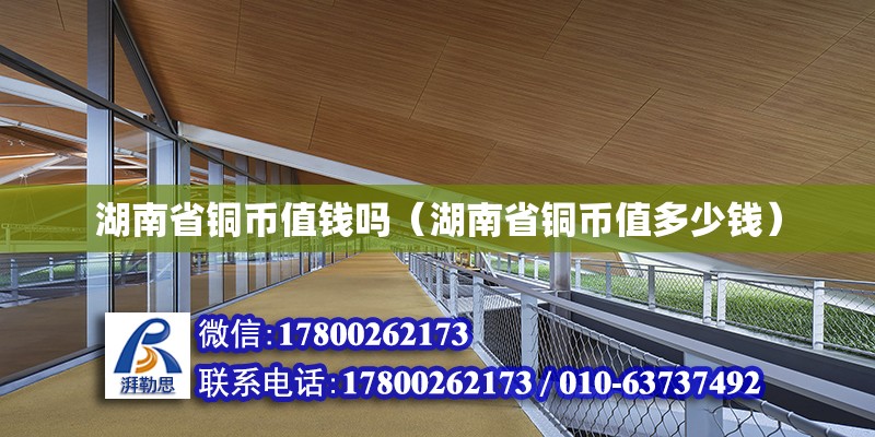 湖南省铜币值钱吗（湖南省铜币值多少钱） 钢结构网架设计