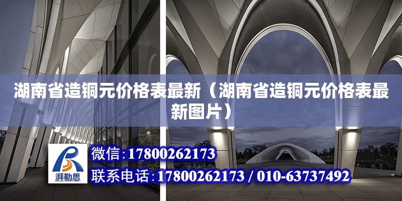 湖南省造铜元价格表最新（湖南省造铜元价格表最新图片）