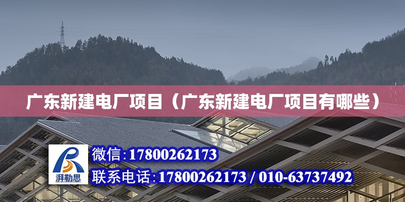 广东新建电厂项目（广东新建电厂项目有哪些）