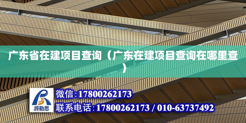 广东省在建项目查询（广东在建项目查询在哪里查）