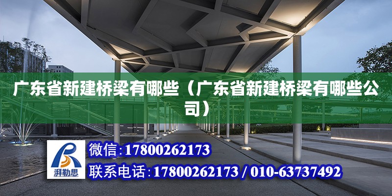 广东省新建桥梁有哪些（广东省新建桥梁有哪些公司） 钢结构网架设计