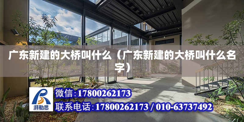 广东新建的大桥叫什么（广东新建的大桥叫什么名字）