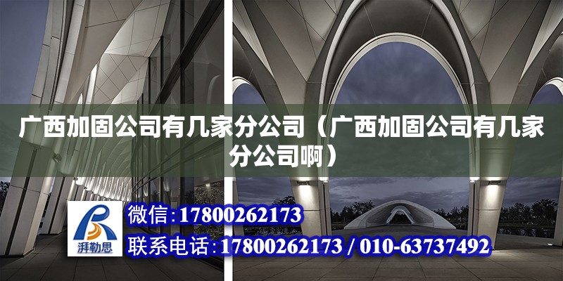 广西加固公司有几家分公司（广西加固公司有几家分公司啊）