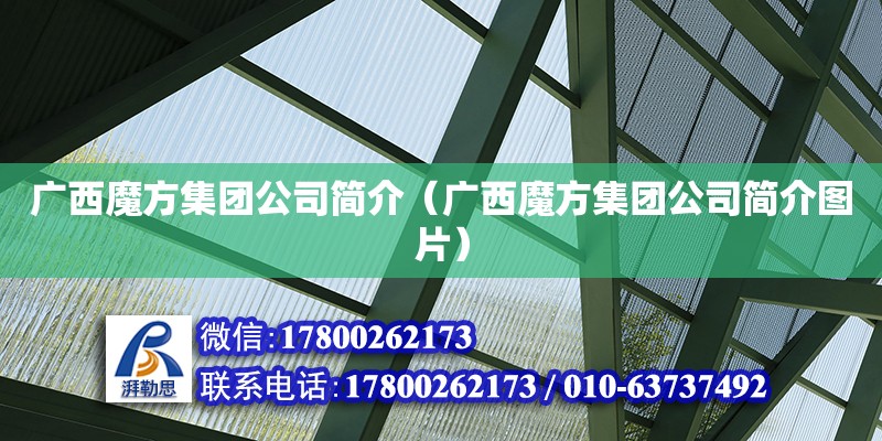 广西魔方集团公司简介（广西魔方集团公司简介图片）