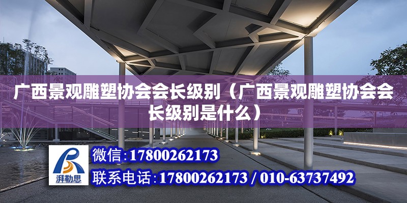 广西景观雕塑协会会长级别（广西景观雕塑协会会长级别是什么）