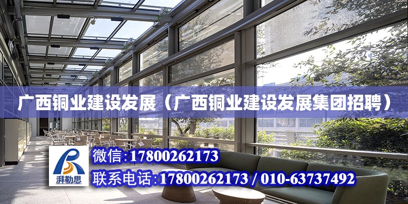 广西铜业建设发展（广西铜业建设发展集团招聘）