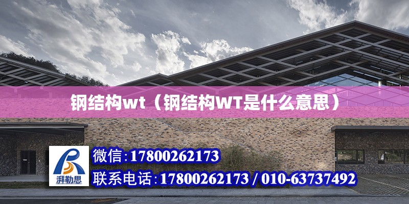 钢结构wt（钢结构WT是什么意思）