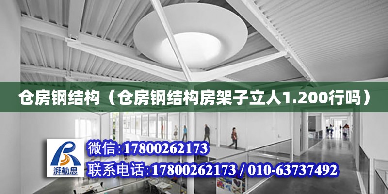 仓房钢结构（仓房钢结构房架子立人1.200行吗）