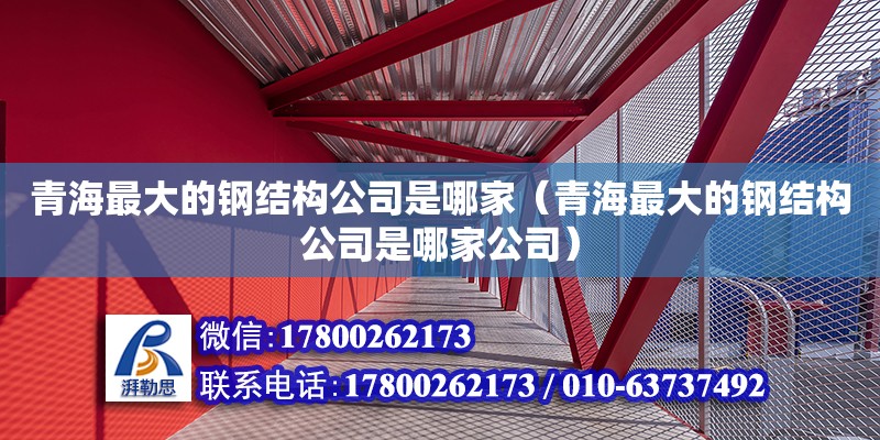 青海最大的钢结构公司是哪家（青海最大的钢结构公司是哪家公司） 钢结构蹦极施工