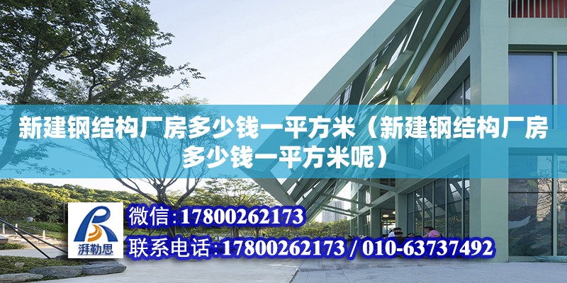 新建钢结构厂房多少钱一平方米（新建钢结构厂房多少钱一平方米呢）