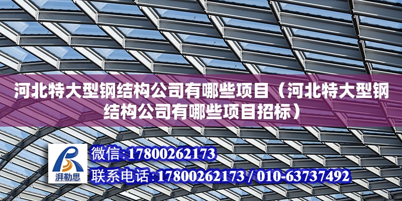 河北特大型钢结构公司有哪些项目（河北特大型钢结构公司有哪些项目招标）