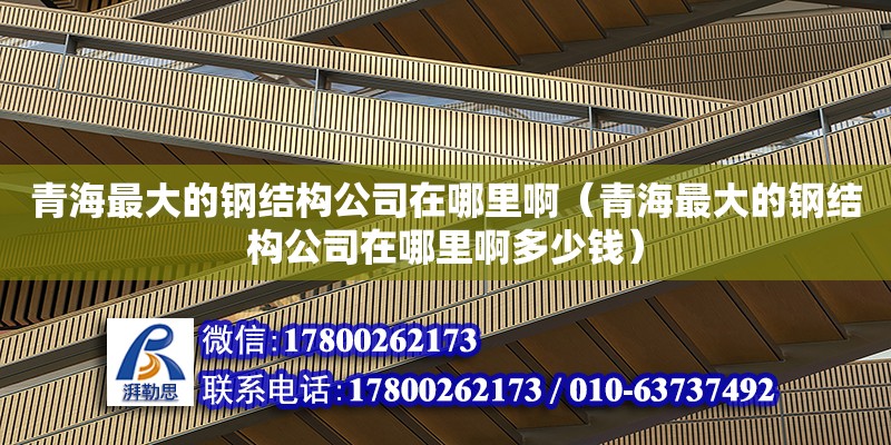 青海最大的钢结构公司在哪里啊（青海最大的钢结构公司在哪里啊多少钱）