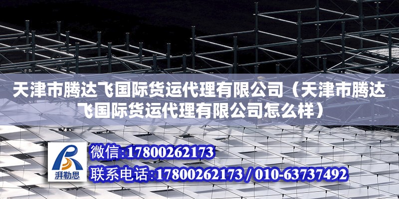 天津市腾达飞国际货运代理有限公司（天津市腾达飞国际货运代理有限公司怎么样）