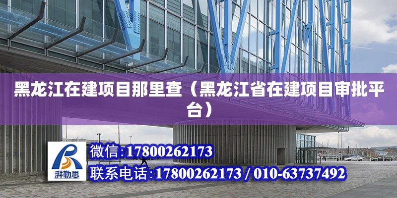 黑龙江在建项目那里查（黑龙江省在建项目审批平台）