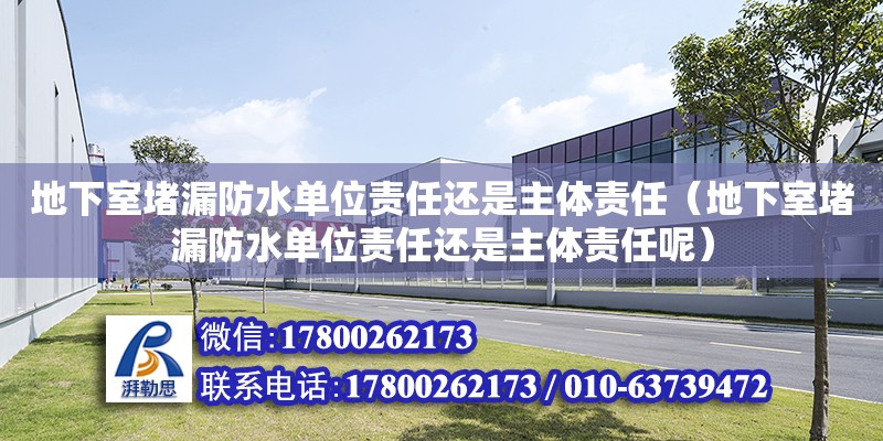 地下室堵漏防水单位责任还是主体责任（地下室堵漏防水单位责任还是主体责任呢）