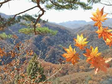 塔吊基础钢筋怎么绑扎（塔吊基础施工方案包括哪些内容）