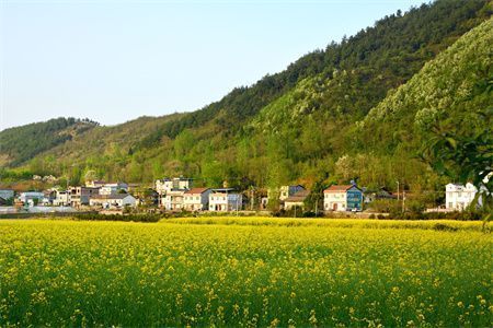 房屋地基沉降怎么办（地基沉降对房屋安全的影响） 装饰工装设计 第4张