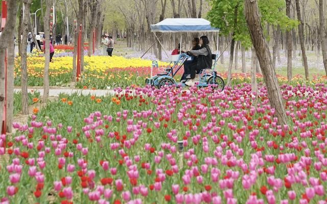 光伏发电北京市财政补贴多少年