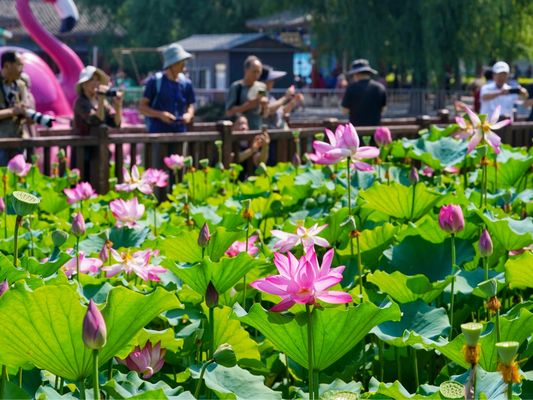 北京市老旧房屋加固政策（北京市老旧小区住房改造）