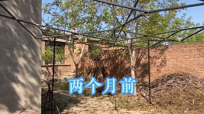 北京房屋改造视频