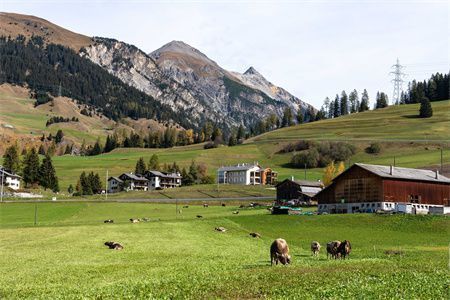 民用钢结构住宅（钢结构住宅的市场前景如何？）