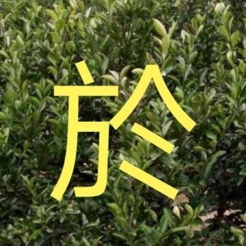 钢屋架图纸怎么看（如何看钢屋架图纸）