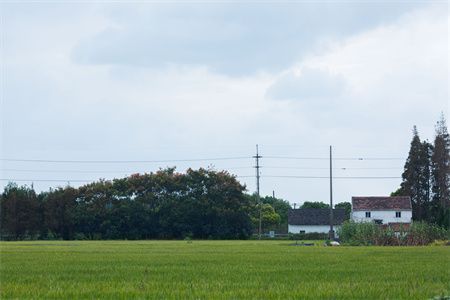 房屋地基下沉有什么危害和后果（地基下沉会对房屋结构产生多方面的影响）