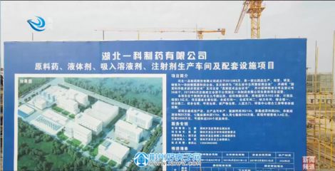 河北加固有限公司（建筑结构抗震技术解析，河北加固公司客户评价）