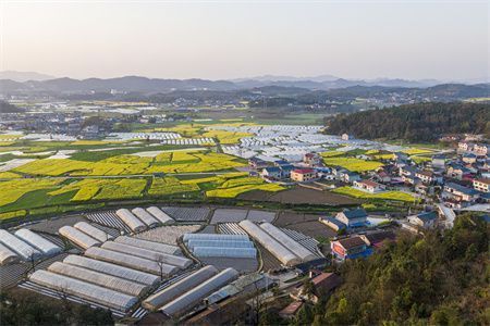 承重墙拆了加槽钢可以吗（槽钢与传统承重墙对比,槽钢加固施工流程详解）