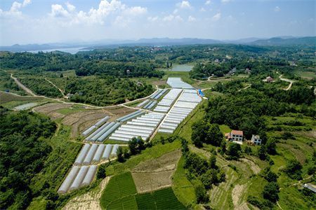 楼房地基下沉还能住吗现在（地基下沉能否继续居住）