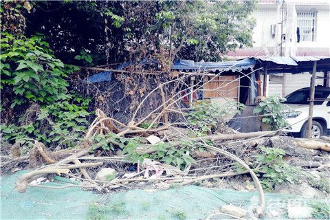 农村宅基地加固（农村宅基地加固政策最新动态,农村房屋加固案例分享）