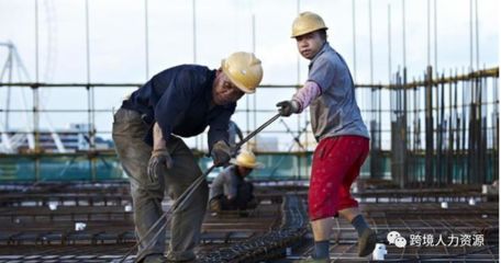 北京工地有招钢筋工长的吗（北京工地钢筋工长岗位职责详解钢筋工长岗位职责详解） 钢结构网架设计 第2张