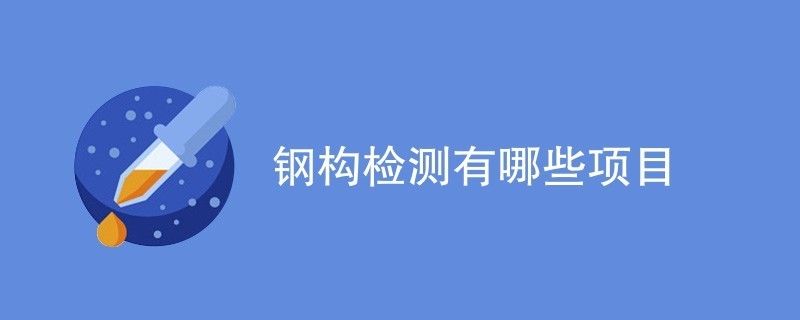 钢结构需检测公司检测项目有哪些（钢结构检测公司）