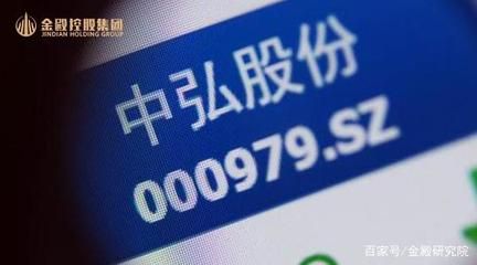 中弘股份公司简介（中弘控股股份有限公司退市影响分析） 结构地下室施工 第5张