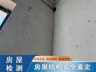 网架挠度测量方法图解视频（网架挠度测量的主要步骤）